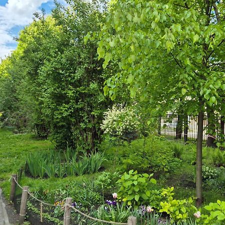 Apartament Daszynskiego 克拉科夫 外观 照片