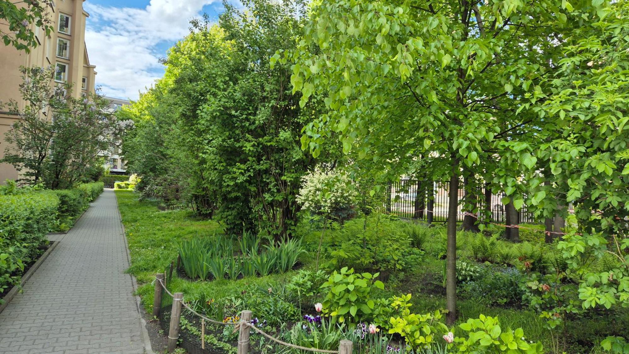 Apartament Daszynskiego 克拉科夫 外观 照片